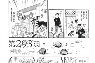 第２９３羽 표지