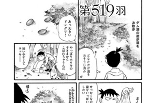 第５１９羽 표지