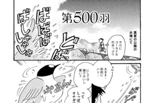 第５００羽 표지