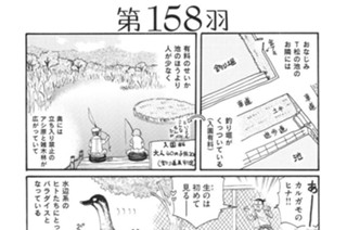 第１５８羽 표지