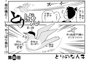 第８３５羽 표지