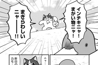 第１１話 猫とカモ（河川敷） 표지