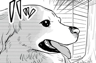 おまけ 표지