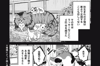 第４７話 落日 표지