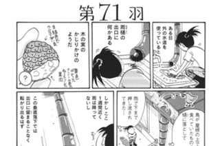第７１羽 표지
