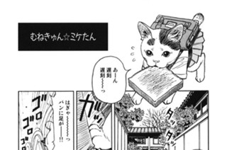 むねきゅん☆ミケたん 표지