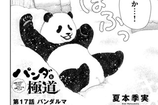 第１７話 パンダルマ 표지