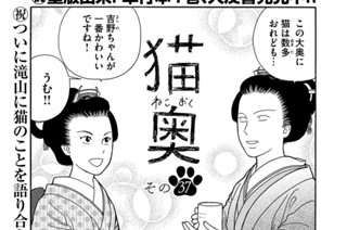 その３７ 표지