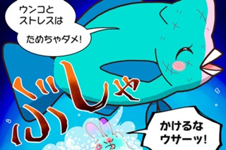 第６話 カンムリブダイ 표지