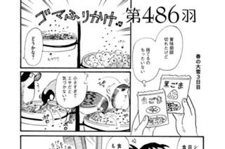 第４８６羽 표지