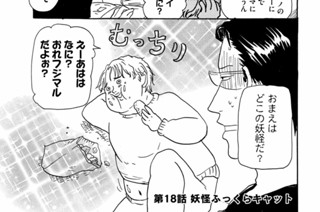 第１８話 妖怪ふっくらキャット 표지