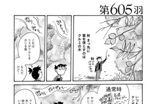 第６０５羽 표지
