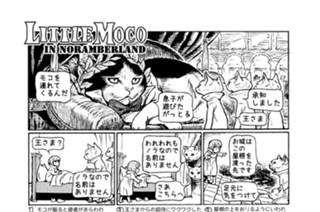 ＬＩＴＴＬＥ ＭＯＣＯ ＩＮ ＮＯＲＡＭＢＥＲＬＡＮＤ 표지