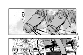 第１０話 よくわからないけれどやりすぎだったみたいです 표지