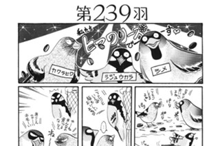 第２３９羽 표지