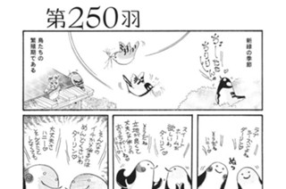 第２５０羽 표지