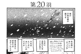 第２０羽 표지