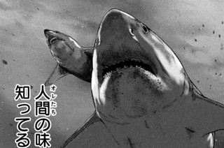 第４５廻 표지