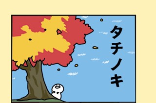 23화 ２３．タチノキ 표지