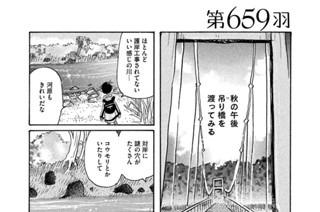 第６５９羽 표지