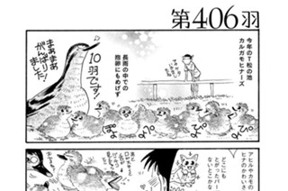 第４０６羽 표지