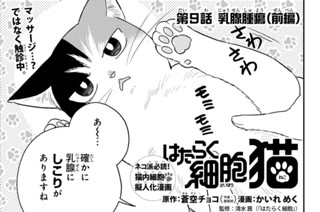 【第9話 (1)】乳腺腫瘍（前編） 표지