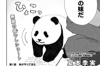 第１話 妹がやってきた 표지
