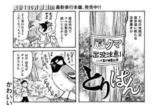 第８８２羽 표지