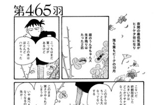 第４６５羽 표지