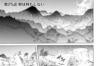 第２５話 奴は何もしない 표지