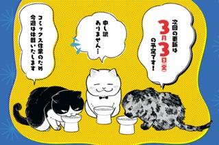 お知らせ 표지