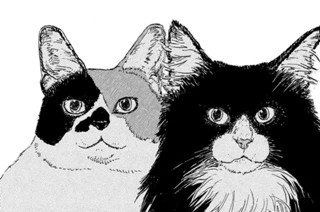 31화 ２８ 人の子が好きな猫 표지