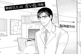 解剖ＦＩＬＥ．４０ 青い鳥〈後編〉 표지