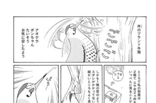 第４７羽 표지