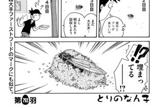 第７９３羽 표지