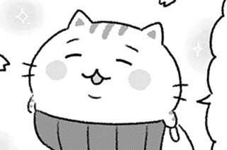 43話 ねこミーツガールやで 표지