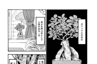 第１８２話 神聖妖木（しんせいようぼく） 표지