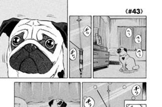 ≪＃４３≫ 夢の途中 표지