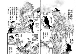 第３９２羽 표지