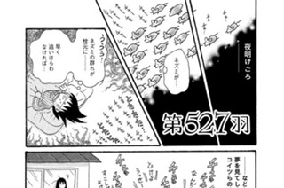 第５２７羽 표지