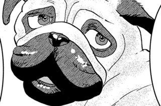 ＃２９ 狙われる犬 표지