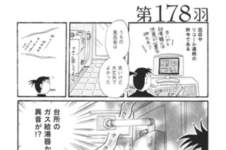 第１７８羽 표지