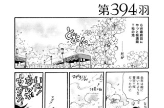 第３９４羽 표지