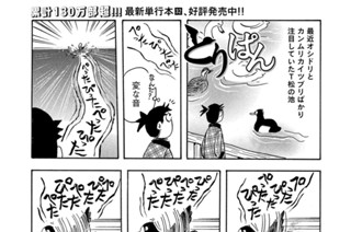 第９０７羽 표지