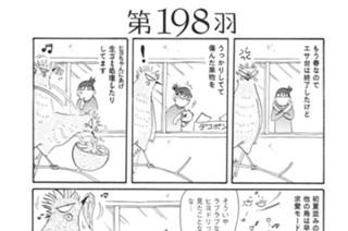 第１９８羽 표지
