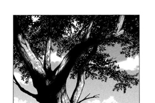 第８１話 「Ｂｒｉｌｌｉａｎｔ Ｔｒｅｅ＜前編＞」 표지