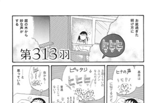 第３１３羽 표지