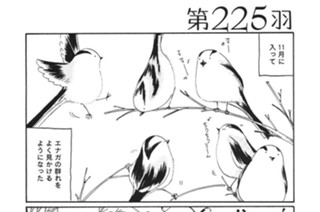 第２２５羽 표지