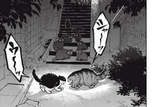 第５話 マルル 家に帰る 표지