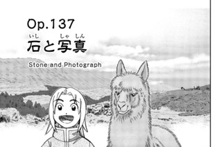 ｏｐ．１３７ 石と写真 표지
